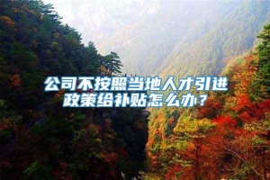 公司不按照当地人才引进政策给补贴怎么办？