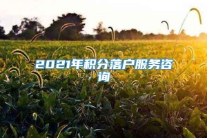 2021年积分落户服务咨询