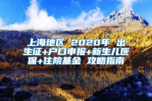 上海地区 2020年 出生证+户口申报+新生儿医保+住院基金 攻略指南