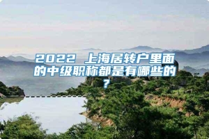 2022 上海居转户里面的中级职称都是有哪些的？