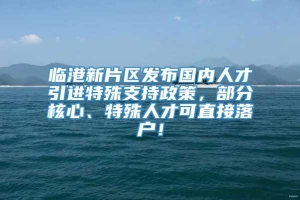 临港新片区发布国内人才引进特殊支持政策，部分核心、特殊人才可直接落户！