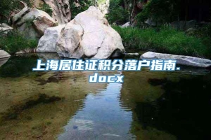 上海居住证积分落户指南.docx