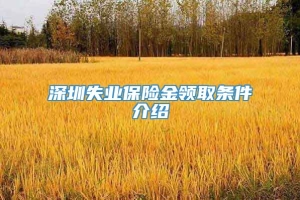 深圳失业保险金领取条件介绍