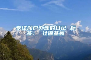 专注深户办理的日记 标签： 社保基数