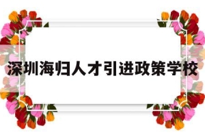 深圳海归人才引进政策学校(深圳海外高层次人才引进政策)