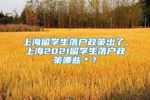 上海留学生落户政策出了，上海2021留学生落户政策哪些＊？