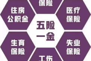 深圳咨询社保补缴，入深户，学历提升