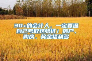 30+的会计人，一定要逼自己考取这张证！落户、购房、奖金福利多