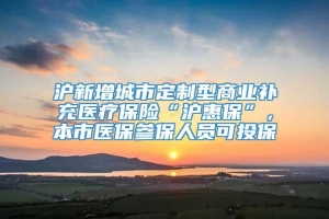 沪新增城市定制型商业补充医疗保险“沪惠保”，本市医保参保人员可投保→