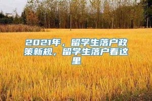 2021年，留学生落户政策新规，留学生落户看这里