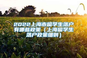 2022上海市留学生落户有哪些政策（上海留学生落户政策细则）