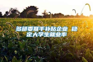 多部委联手补贴企业 稳定大学生就业率