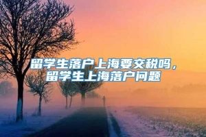 留学生落户上海要交税吗，留学生上海落户问题