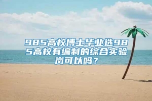 985高校博士毕业选985高校有编制的综合实验岗可以吗？