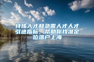 特殊人才和急需人才人才引进指标，帮助你找准定位落户上海