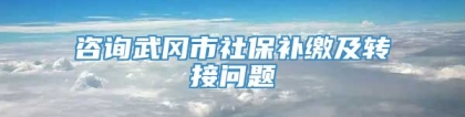 咨询武冈市社保补缴及转接问题