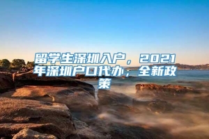 留学生深圳入户，2021年深圳户口代办，全新政策