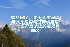 松江居民，关于“加强留学人才投身松江新城建设”，公开征集您的意见和建议→