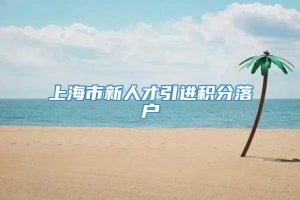 上海市新人才引进积分落户