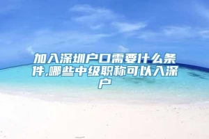 加入深圳户口需要什么条件,哪些中级职称可以入深户