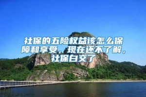 社保的五险权益该怎么保障和享受，现在还不了解，社保白交了