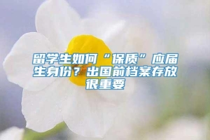 留学生如何“保质”应届生身份？出国前档案存放很重要