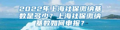 2022年上海社保缴纳基数是多少？上海社保缴纳基数如何申报？