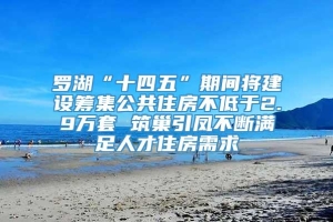 罗湖“十四五”期间将建设筹集公共住房不低于2.9万套 筑巢引凤不断满足人才住房需求