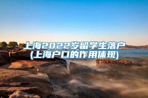 上海2022岁留学生落户(上海户口的作用体现)