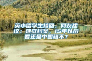 英小留学生接回，网友建议：建立档案，15年以后看还是中国籍不？