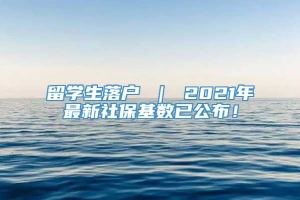 留学生落户 ｜ 2021年最新社保基数已公布！