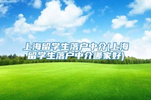 上海留学生落户中介(上海留学生落户中介哪家好)