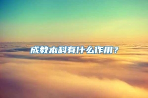 成教本科有什么作用？