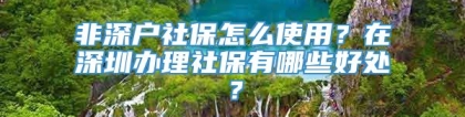 非深户社保怎么使用？在深圳办理社保有哪些好处？