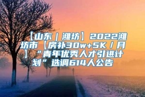 【山东｜潍坊】2022潍坊市【房补30w+5K／月】“青年优秀人才引进计划”选调614人公告