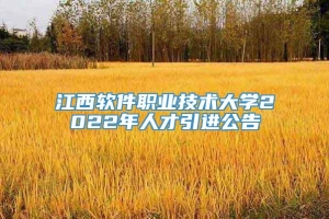 江西软件职业技术大学2022年人才引进公告