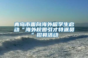 青岛市面向海外留学生启动“海外校园引才特派员”招募活动