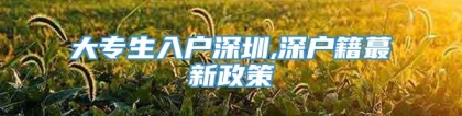 大专生入户深圳,深户籍蕞新政策