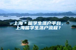 上海＊留学生落户平台，上海留学生落户流程？