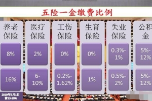 个人交深圳社保医疗最高档一个月9百多，缴满15年后，退休能拿多少养老金