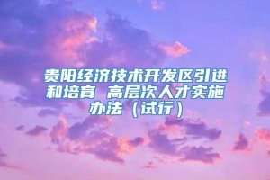 贵阳经济技术开发区引进和培育 高层次人才实施办法（试行）