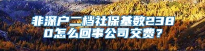 非深户二档社保基数2380怎么回事公司交费？