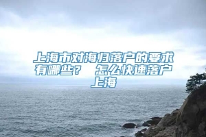 上海市对海归落户的要求有哪些？ 怎么快速落户上海