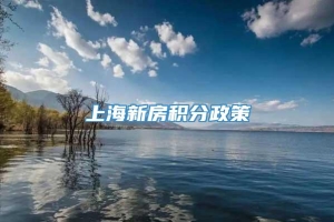 上海新房积分政策