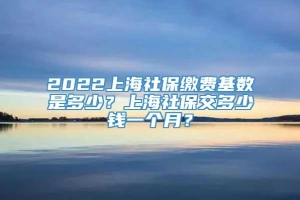 2022上海社保缴费基数是多少？上海社保交多少钱一个月？