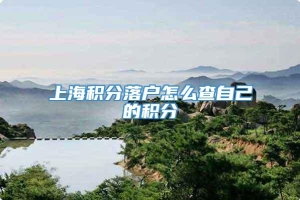 上海积分落户怎么查自己的积分