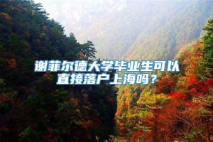 谢菲尔德大学毕业生可以直接落户上海吗？