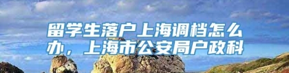 留学生落户上海调档怎么办，上海市公安局户政科