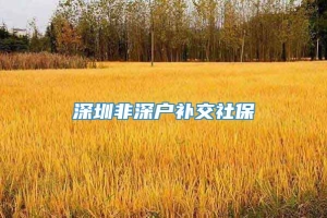 深圳非深户补交社保