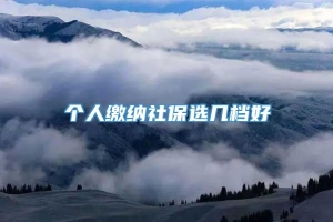 个人缴纳社保选几档好